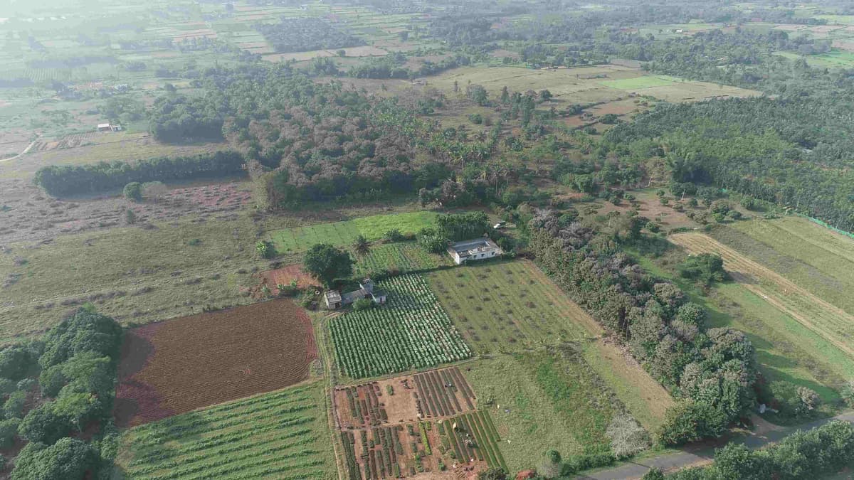 Professional managed farmland development and legal compliance at Rajan Farms