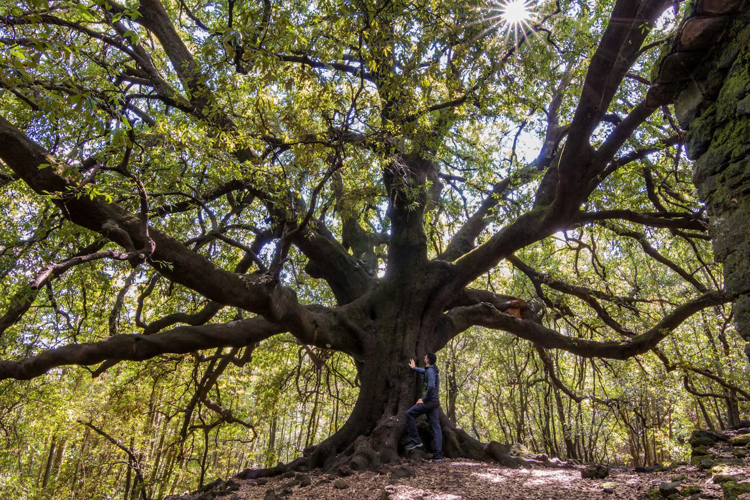 organic farmland near bangalore 2